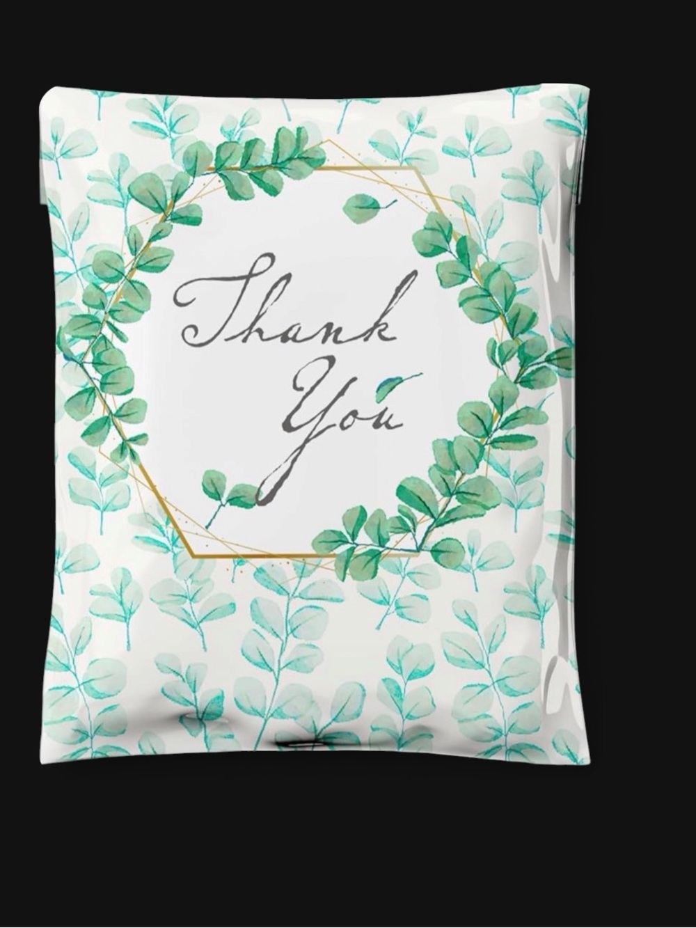 Poly Mailers 10x13 Set of 10